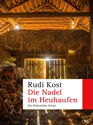 cover image of Die Nadel im Heuhaufen